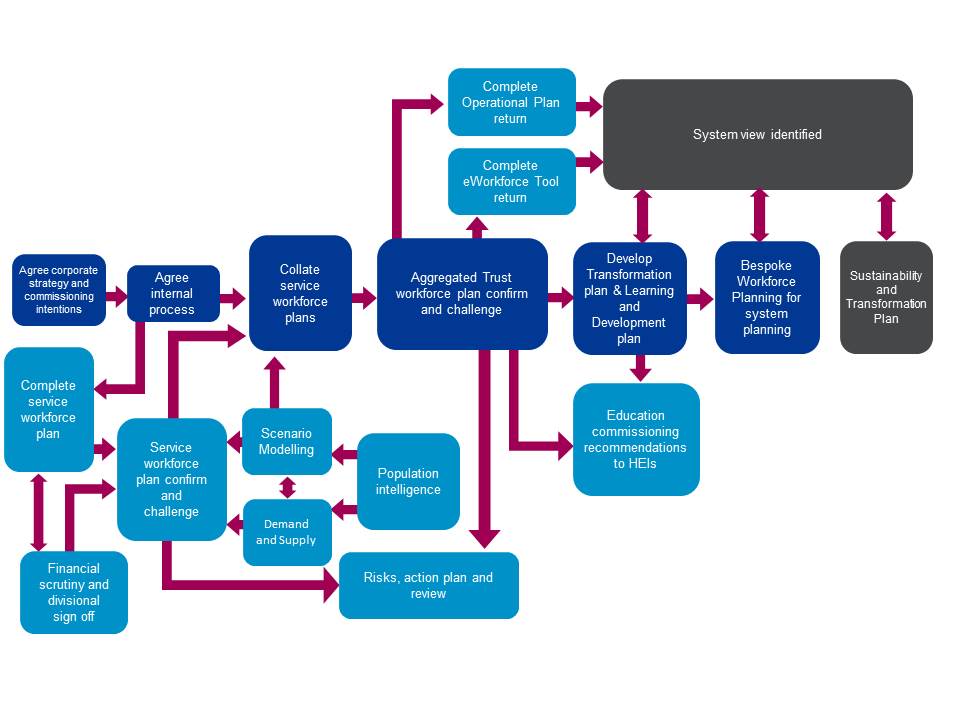 Workforce Planning Examples Nhs