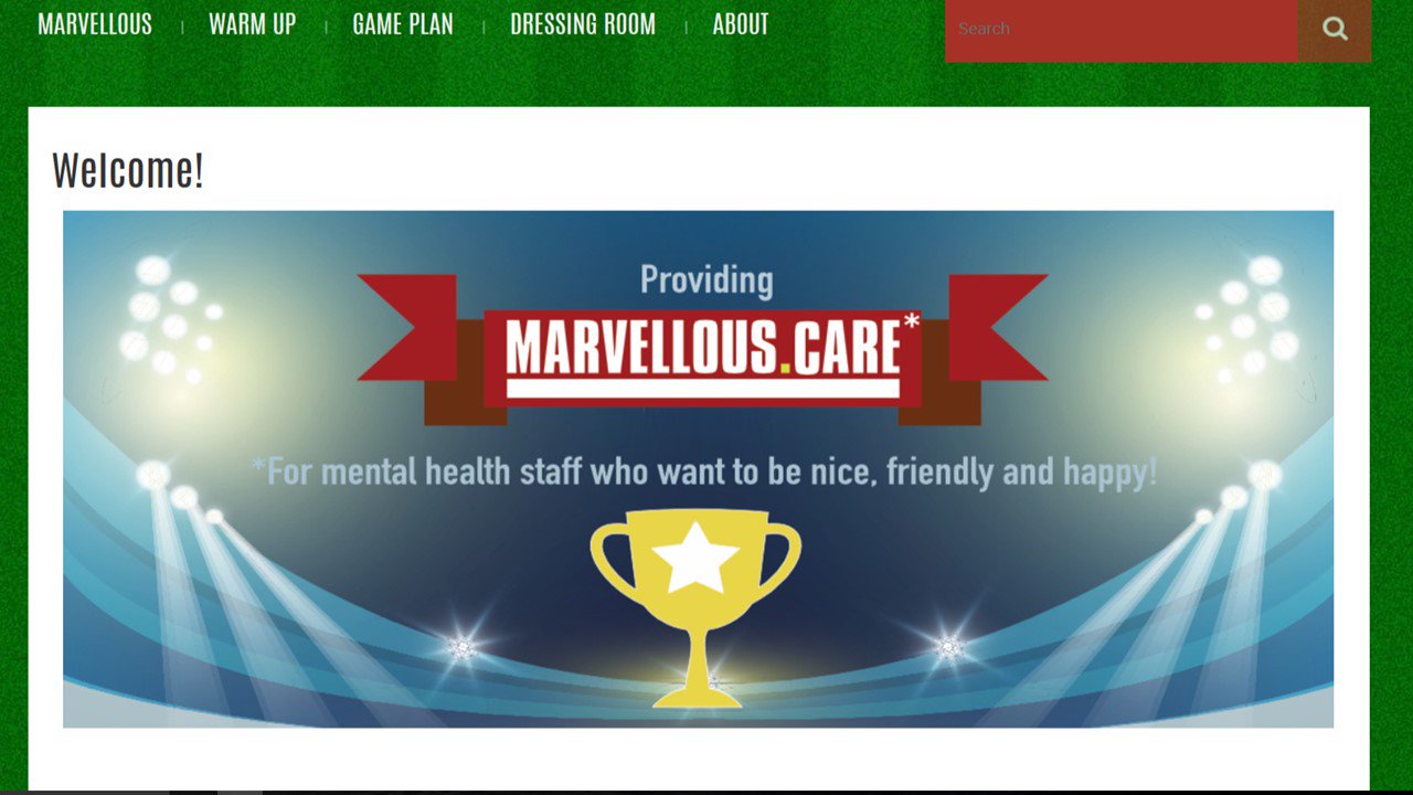 Marvellous Care - Helping mental health wards care for people with Learning Disabillity: featured image