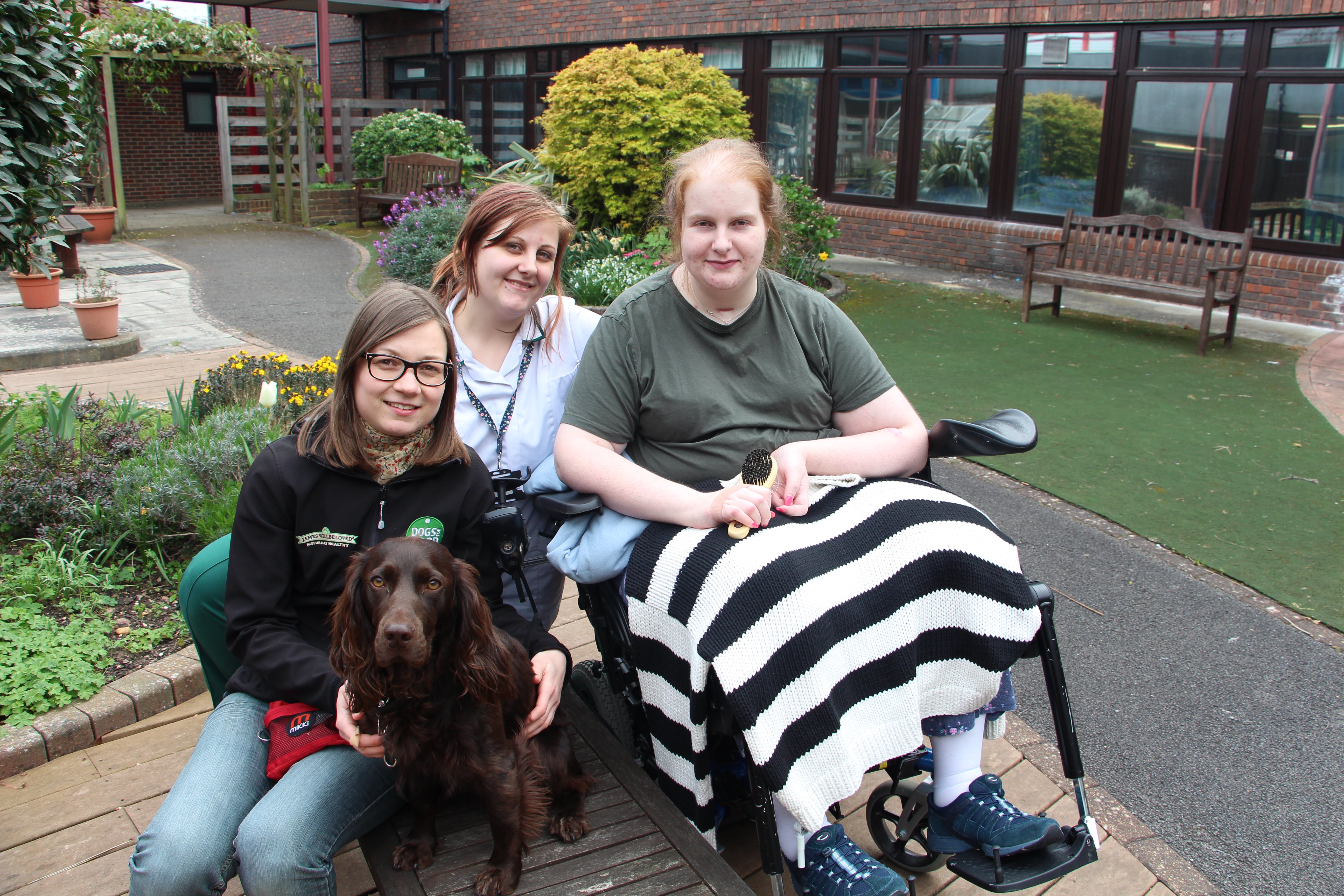 Pilot scheme to see how dogs can help aid patients’ rehabilitation featured image