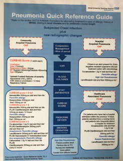 A Pneumonia Quick Reference Guide supporting frontline staff to provide the Advancing Quality Pneumonia Care Bundle featured image