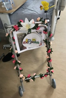 Decorating zimmer frames to end PJ paralysis featured image