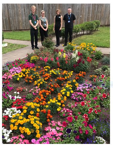 Garden therapy reaps rewards for mental health patients and ward staff featured image