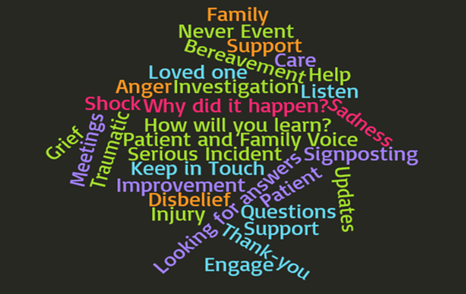 Patients and Family Voices at the Centre of Serious Incident Investigations – improving the experience and providing support featured image